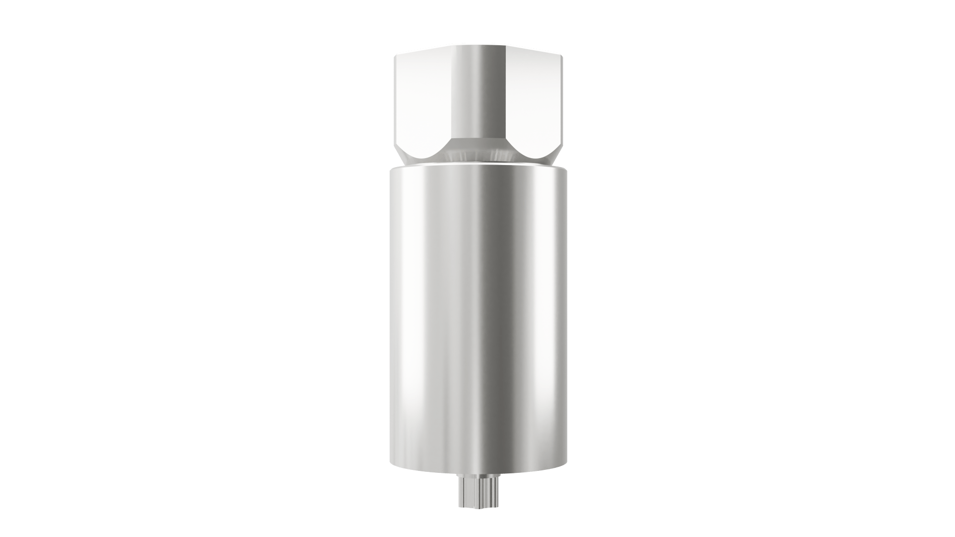 Straumann®™ BLX-compatible WB Titanium Blank