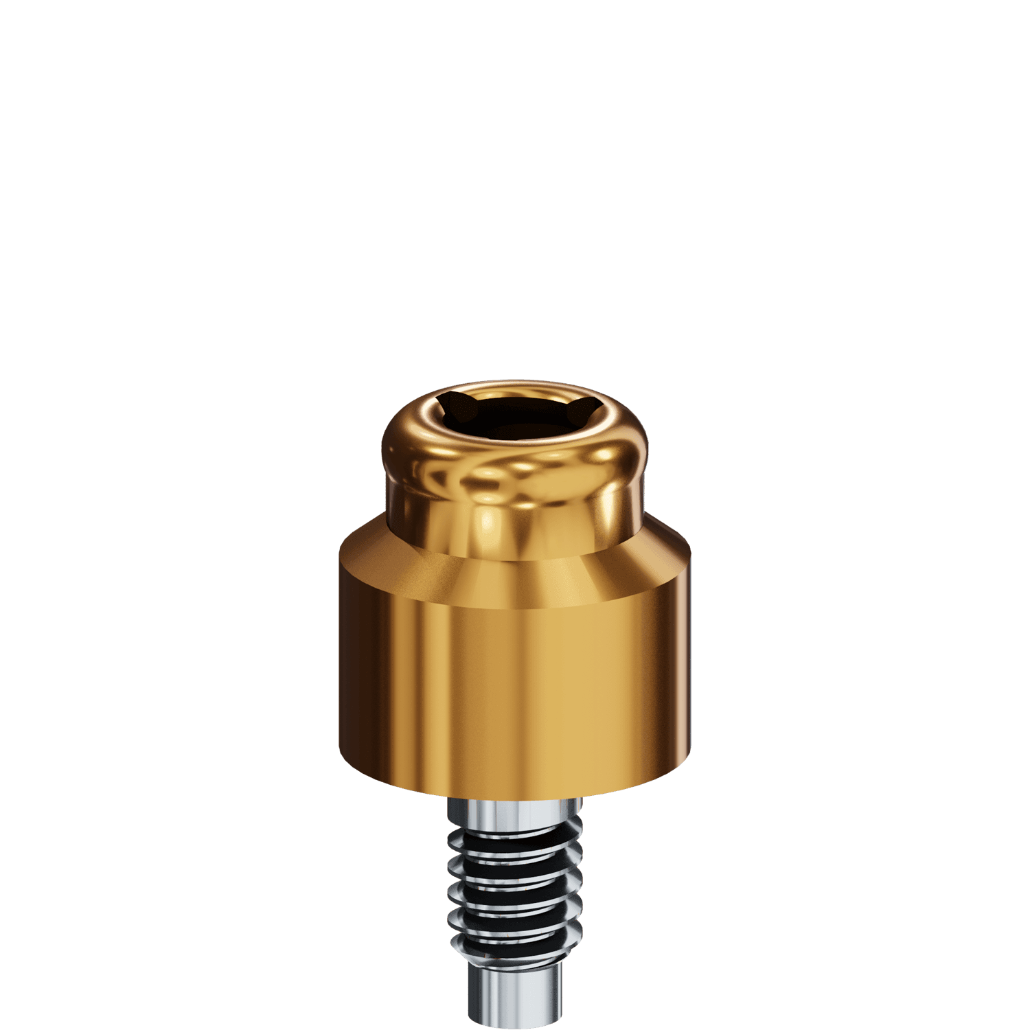 LOCATOR® Abutment - Bio-Lok® External Hex 5.0mm x 4.0mm