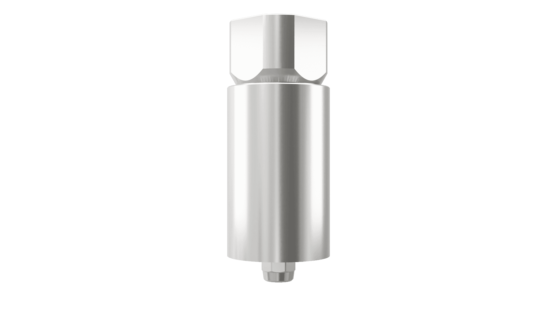 Straumann® TL-compatible RN Titanium Blank