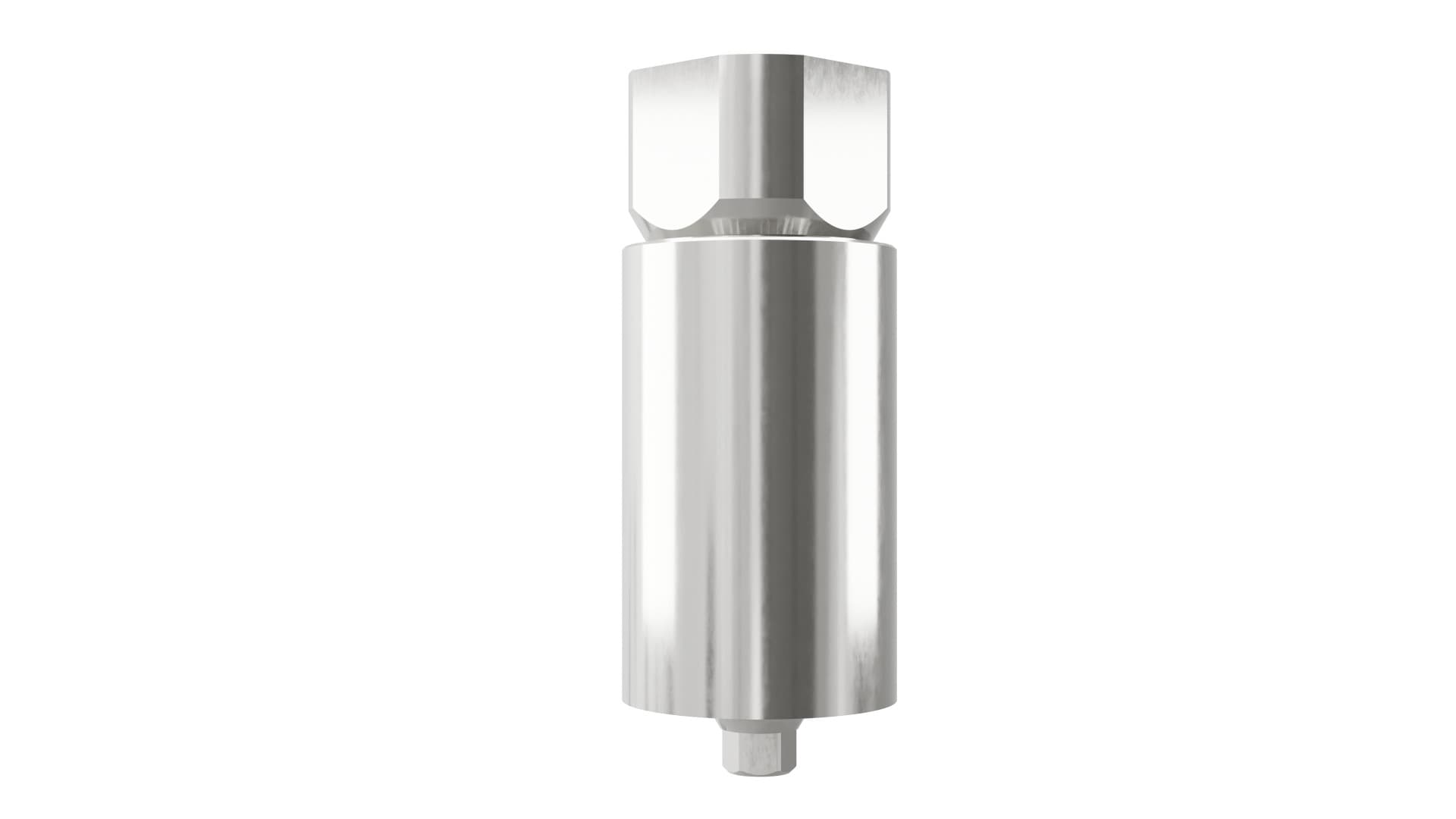 BioHorizons®-compatible 3.0mm Titanium Blank